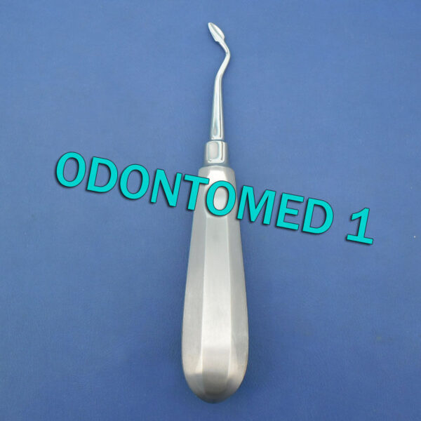 DENTAL TOOTH SURGERY RIGHT SPADE CONCAVE ROOT TIP ELEVATOR #60R
