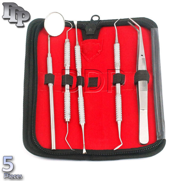 Dental Oral Hygiene Kit 5 Tools Deep Cleaning Scaler Teeth Care Set PR-331