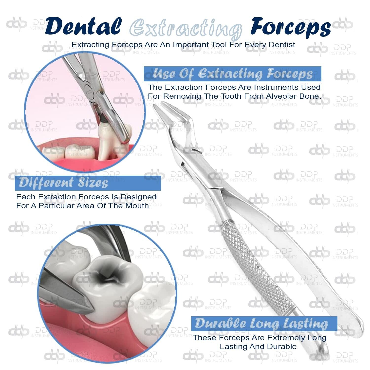 EXTRACTING-FORCEPS-32-DENTAL-SURGICAL-INSTRUMENTS-111185868290-3