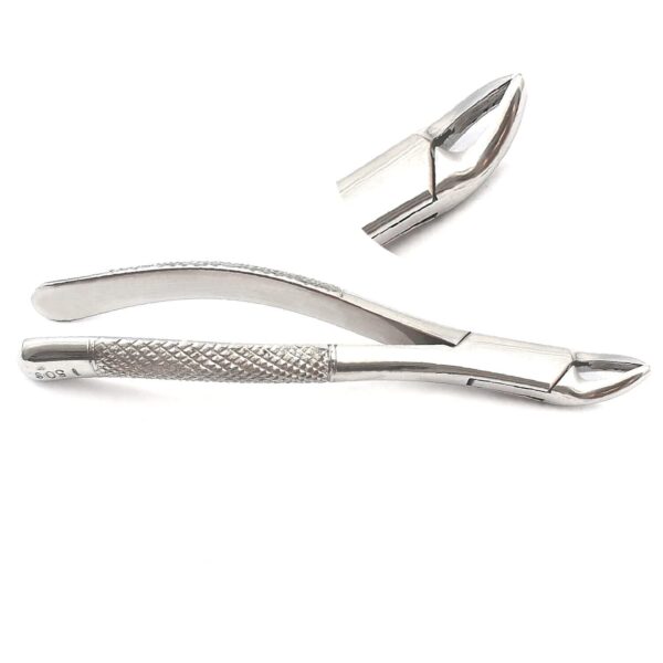 Extracting Forceps # 150S Dental Veterinary Surgical Instruments