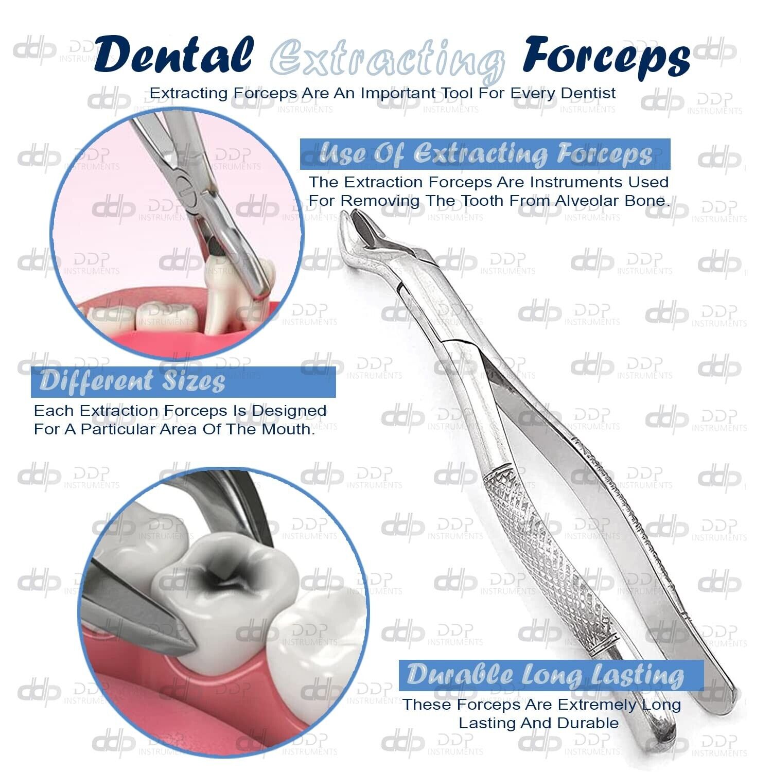 Extracting-Forceps-Adults-10S-Comes-with-knurled-handle-372101450550-3