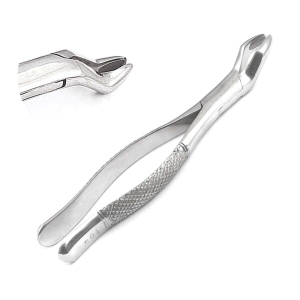 Extracting Forceps Adults #10S Comes with knurled Handle