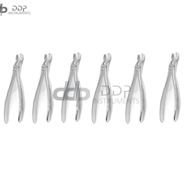 Lot Of 6 Pieces Dental Extracting Forceps # 67 Surgical Dental Instruments