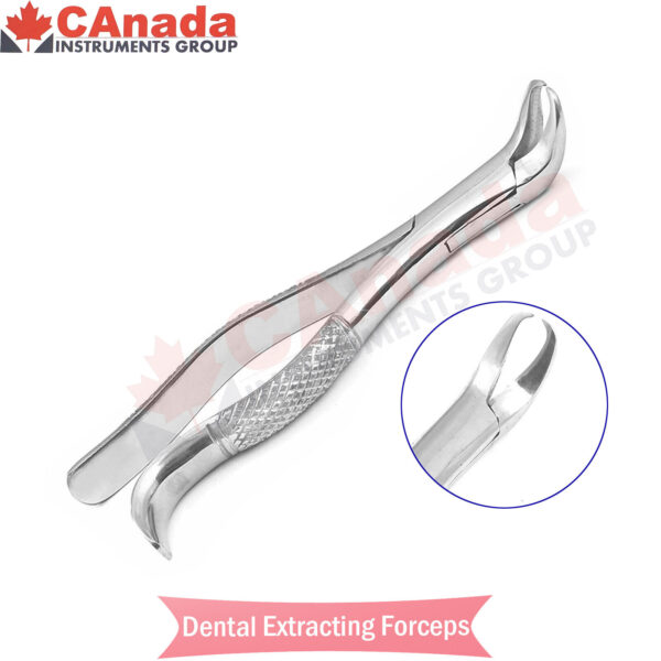 Tooth Extracting Forceps # 16S Surgical Dental Instruments