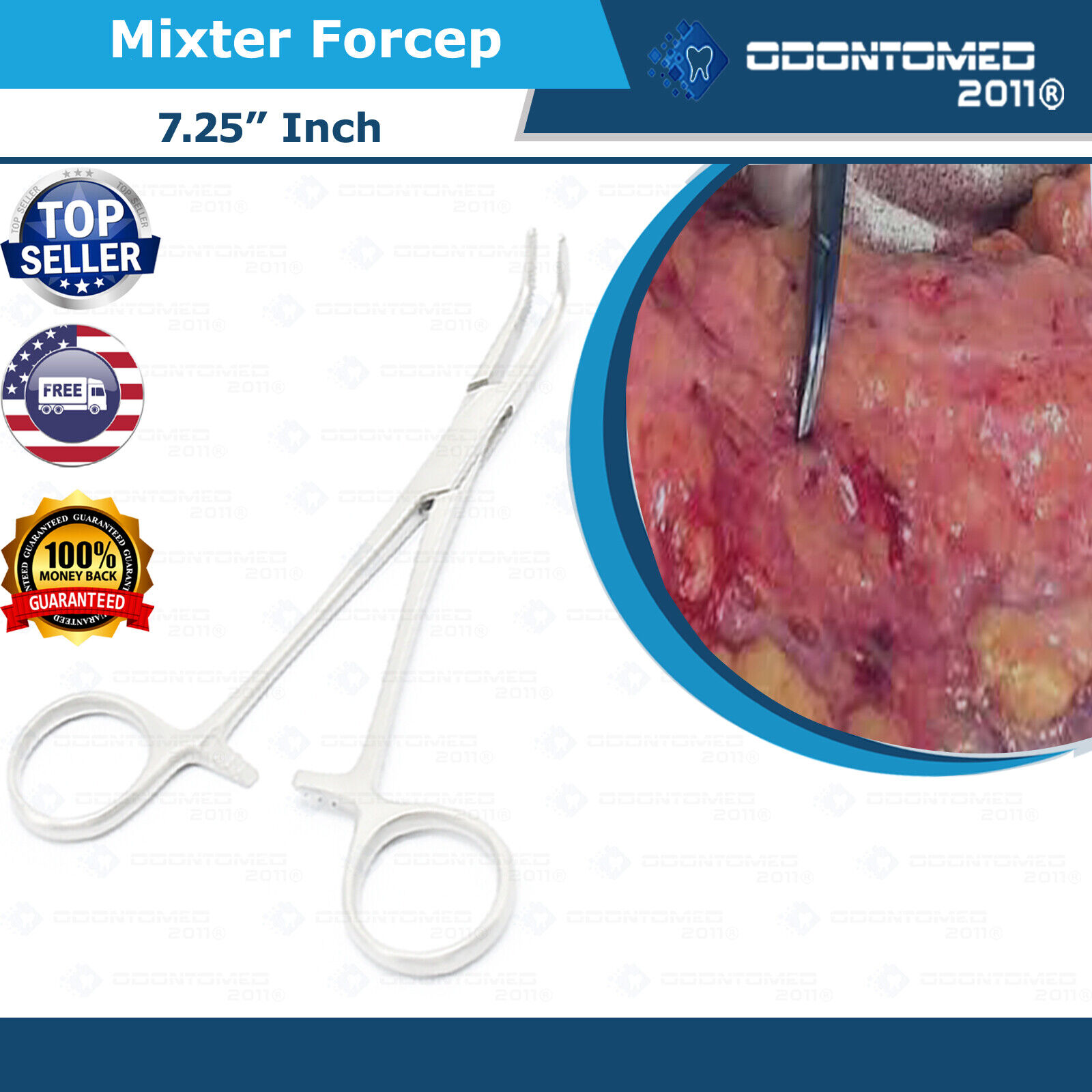 Variation-of-High-Quality-Mixter-Forceps-Choose-any-55quot-6quot-7quot-9quot-Stainless-Steel-Surgical-134182372080-357d