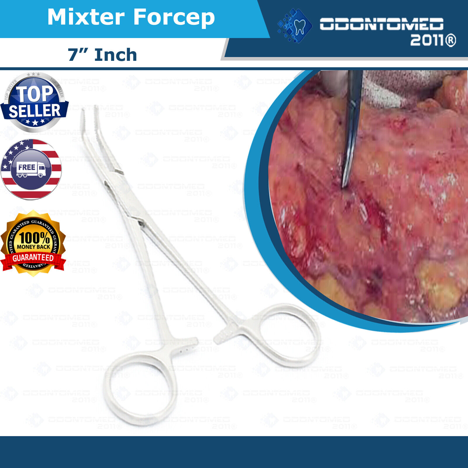 Variation-of-High-Quality-Mixter-Forceps-Choose-any-55quot-6quot-7quot-9quot-Stainless-Steel-Surgical-134182372080-fe02