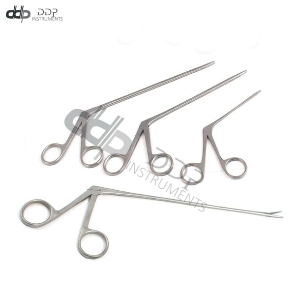 4 Pieces Of Alligator Forceps 3.5''+5.5''+6.5''+8'' & Surgical Veterinary Instruments
