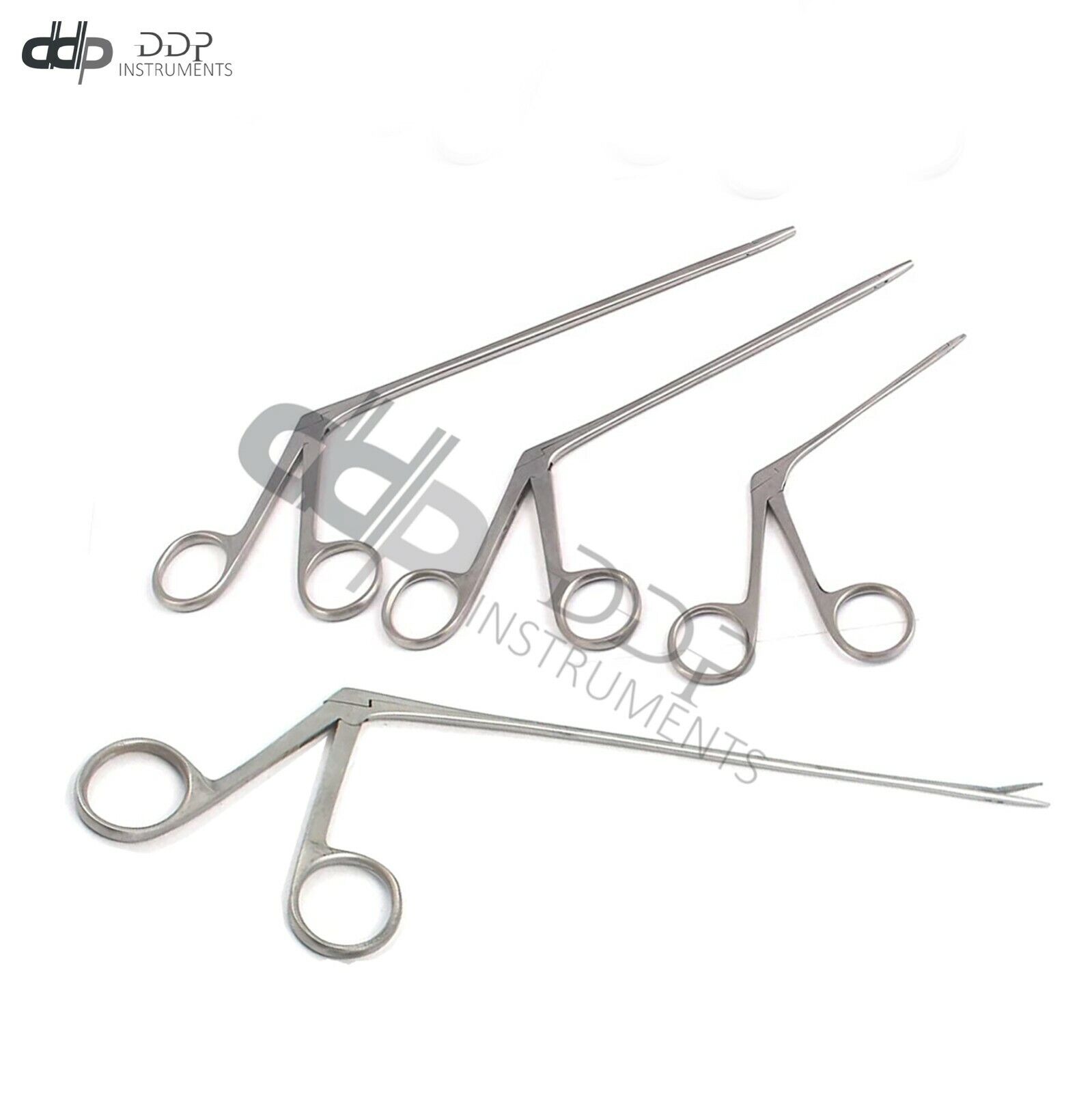 4-Alligator-Forceps-3555658-Surgical-Veterinary-Instruments-374067928051