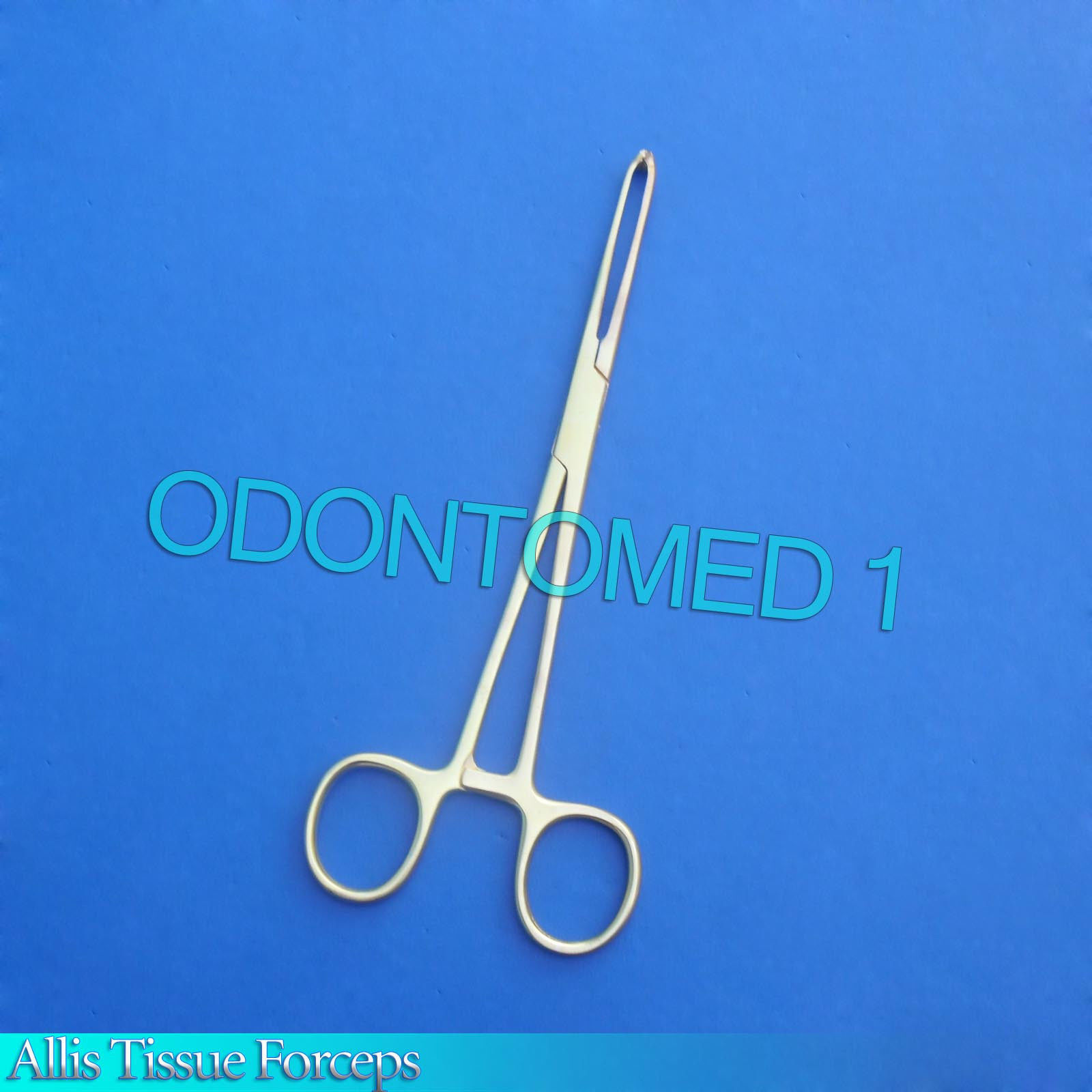 6-Allis-Tissue-Forceps-75-Full-Gold-Surgical-Instruments-121223961881-2