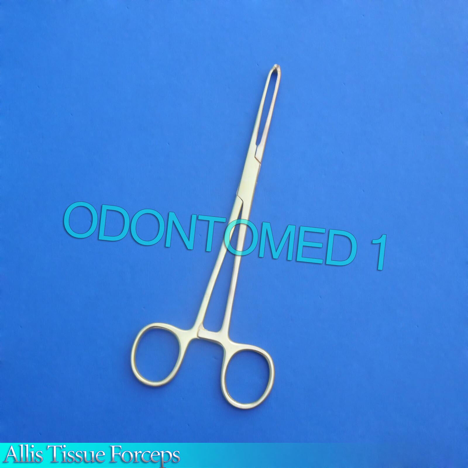6-Allis-Tissue-Forceps-75-Full-Gold-Surgical-Instruments-121223961881