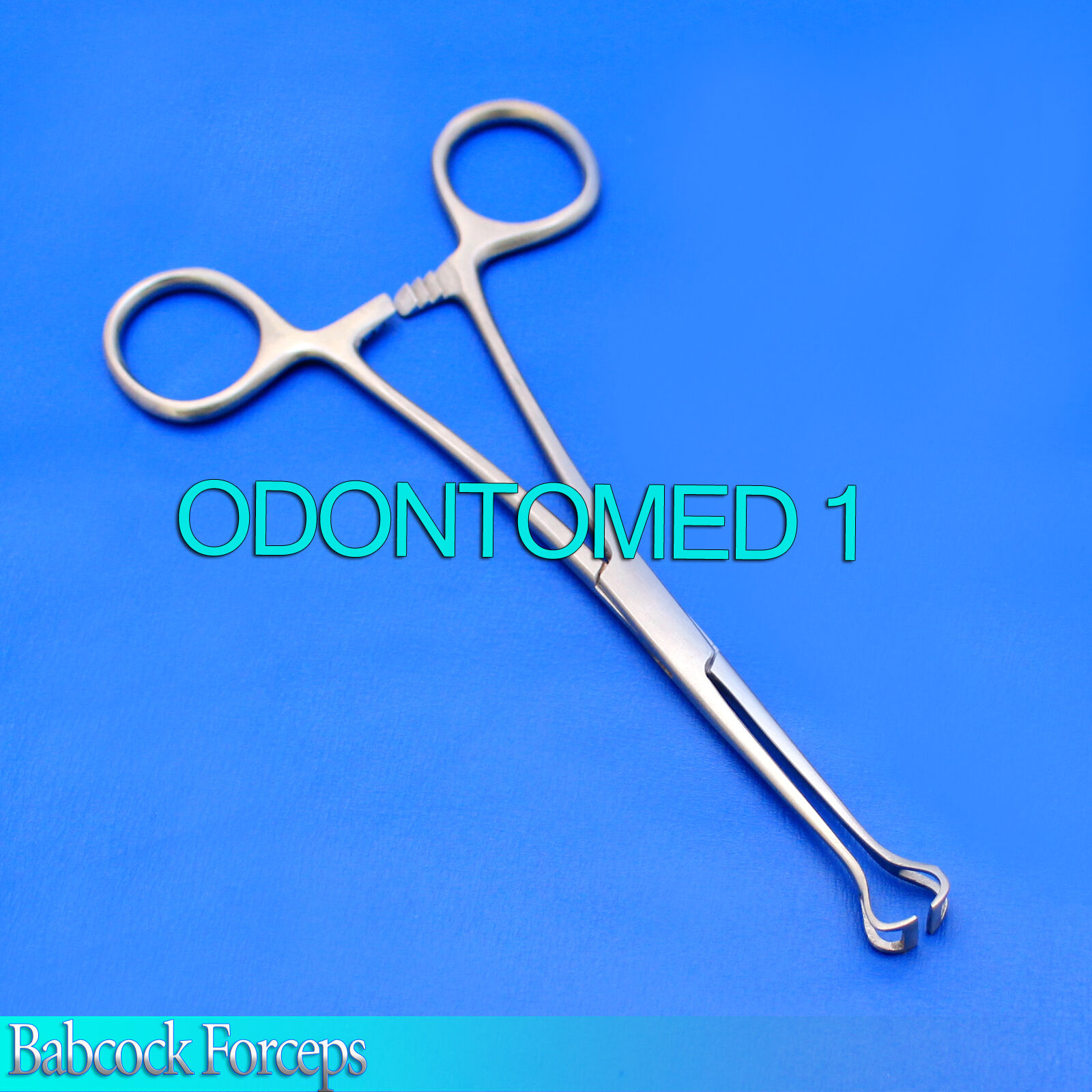 6-Babcock-Forceps-8-Surgical-Veterinary-GYNO-Instrument-131010358061-2