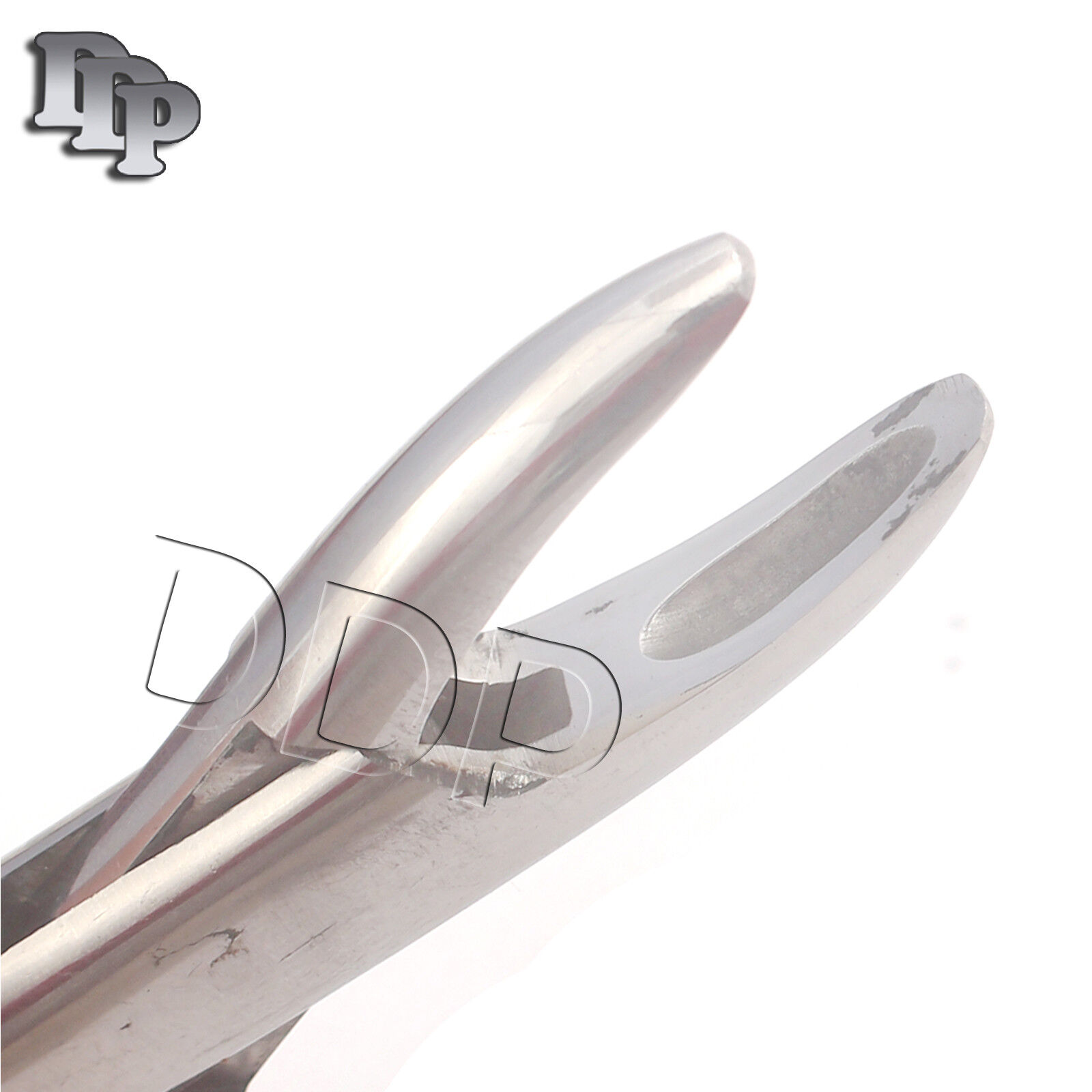 6-Pieces-of-Dental-Tooth-Extracting-Forceps-1-Instruments-111368448621-2