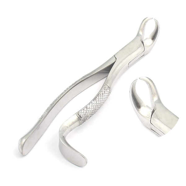 American Pattern 16 Dental Extracting Forceps Dental Instruments