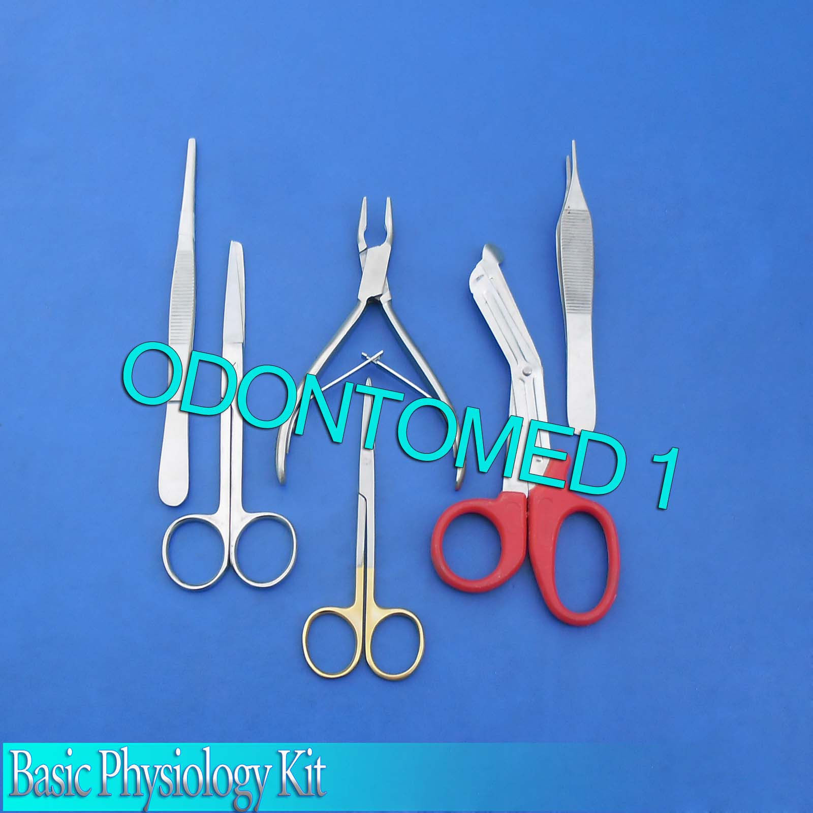 Basic-Physiology-Kit-Surgical-Dental-InstrumentsDS-606-131039547331-2