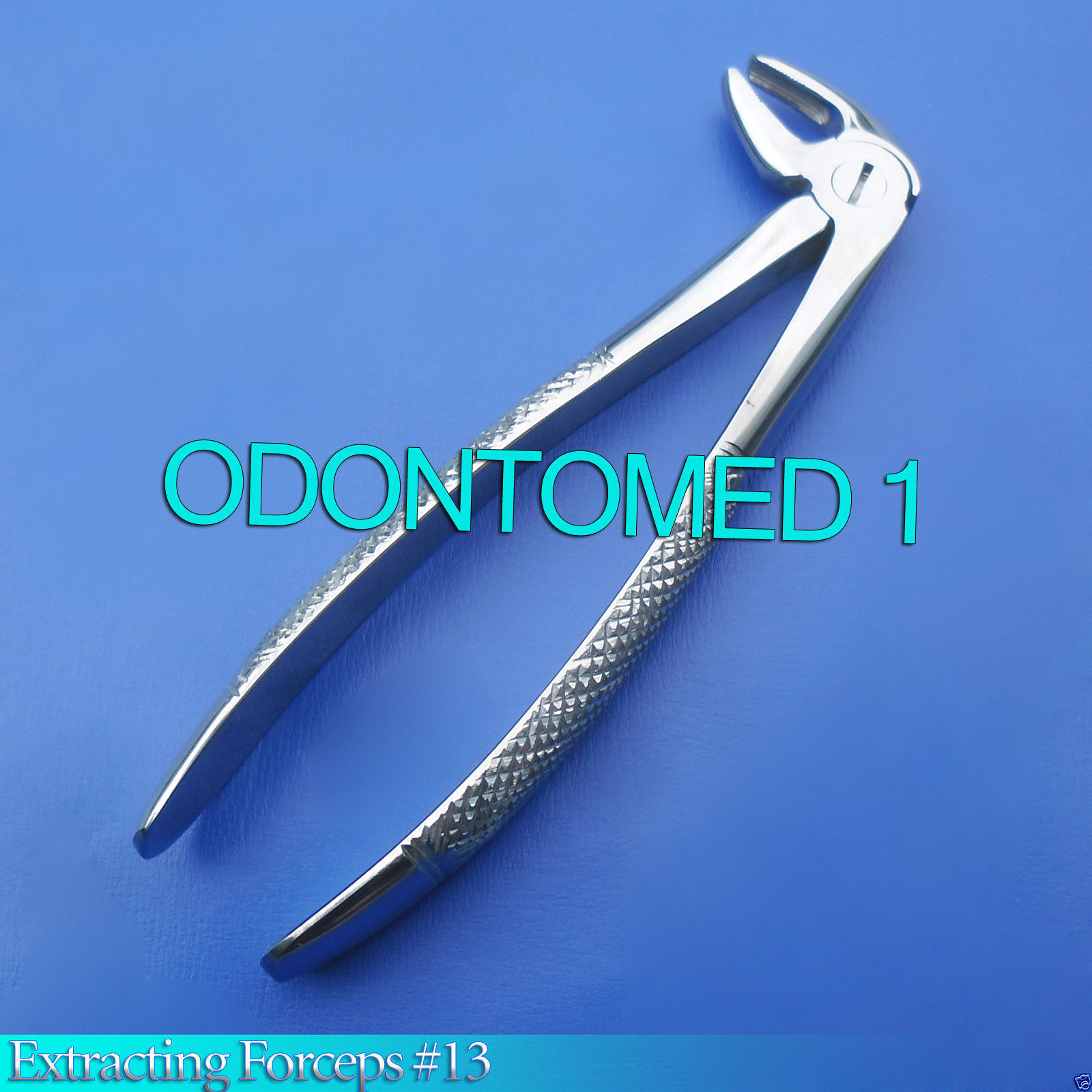 Dental-Extracting-Forceps-13-Dental-Instruments-120939936701-2