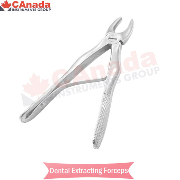 Dental PEDO Extracting Forceps #E Mini Pedodontic Stainless Steel