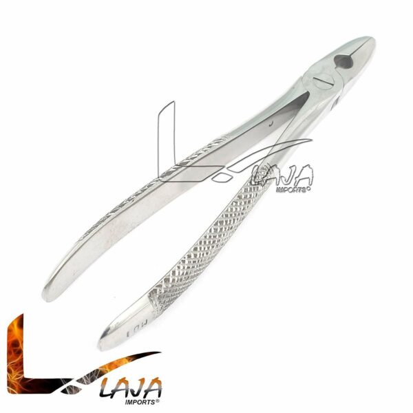 English Pattern 1MD Dental Extracting Forceps Dental Instruments