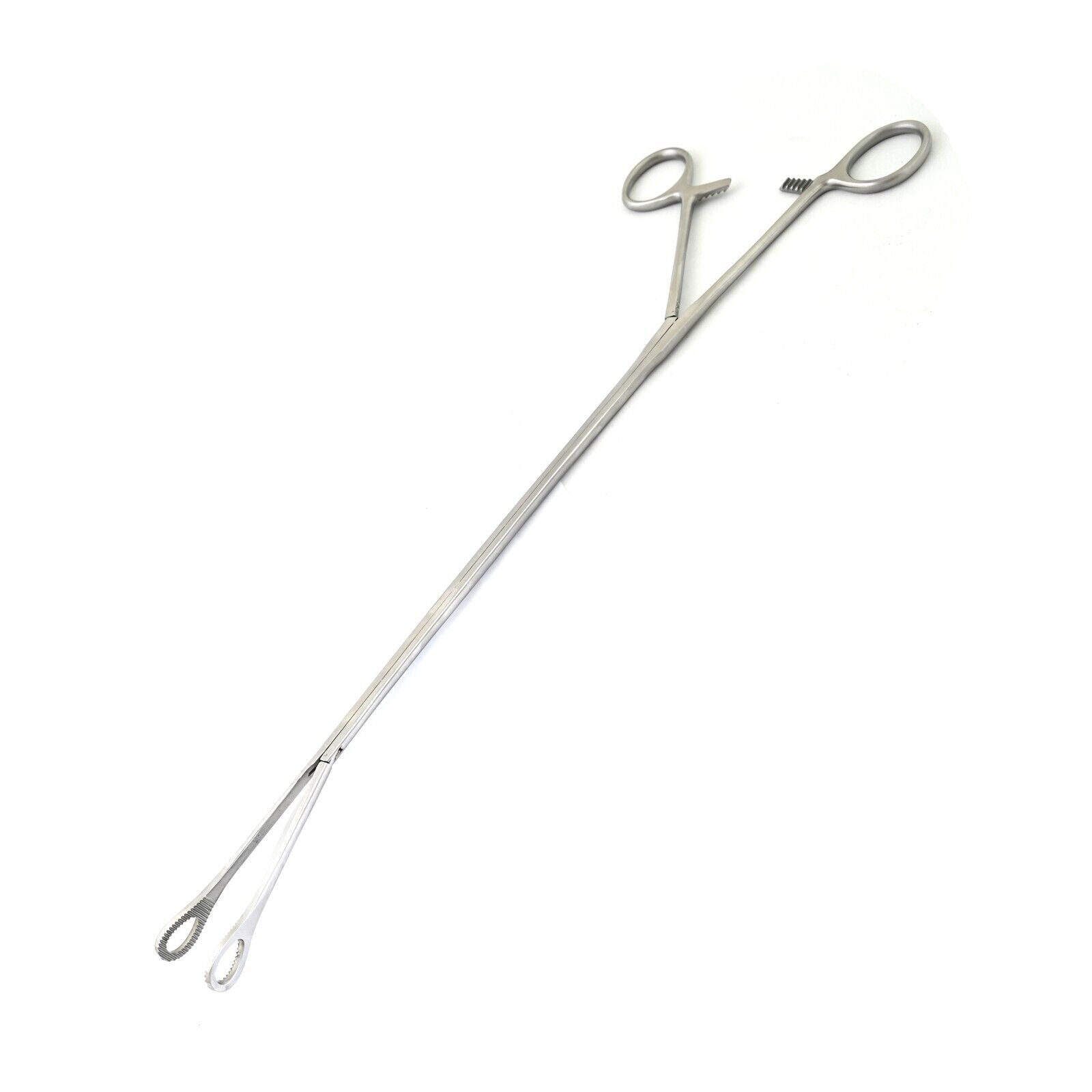 Foerster-Forceps-Curved-Left-Oval-Serrated-Jaws-WRatchet-155-DS-1854-126746311851