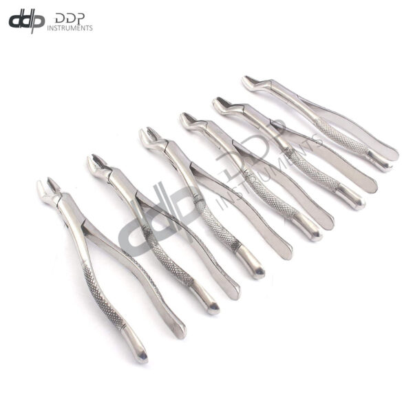 Lot Of 6 Pieces EXTRACTING FORCEPS # 53L DENTAL SURGICAL INSTRUMENTS
