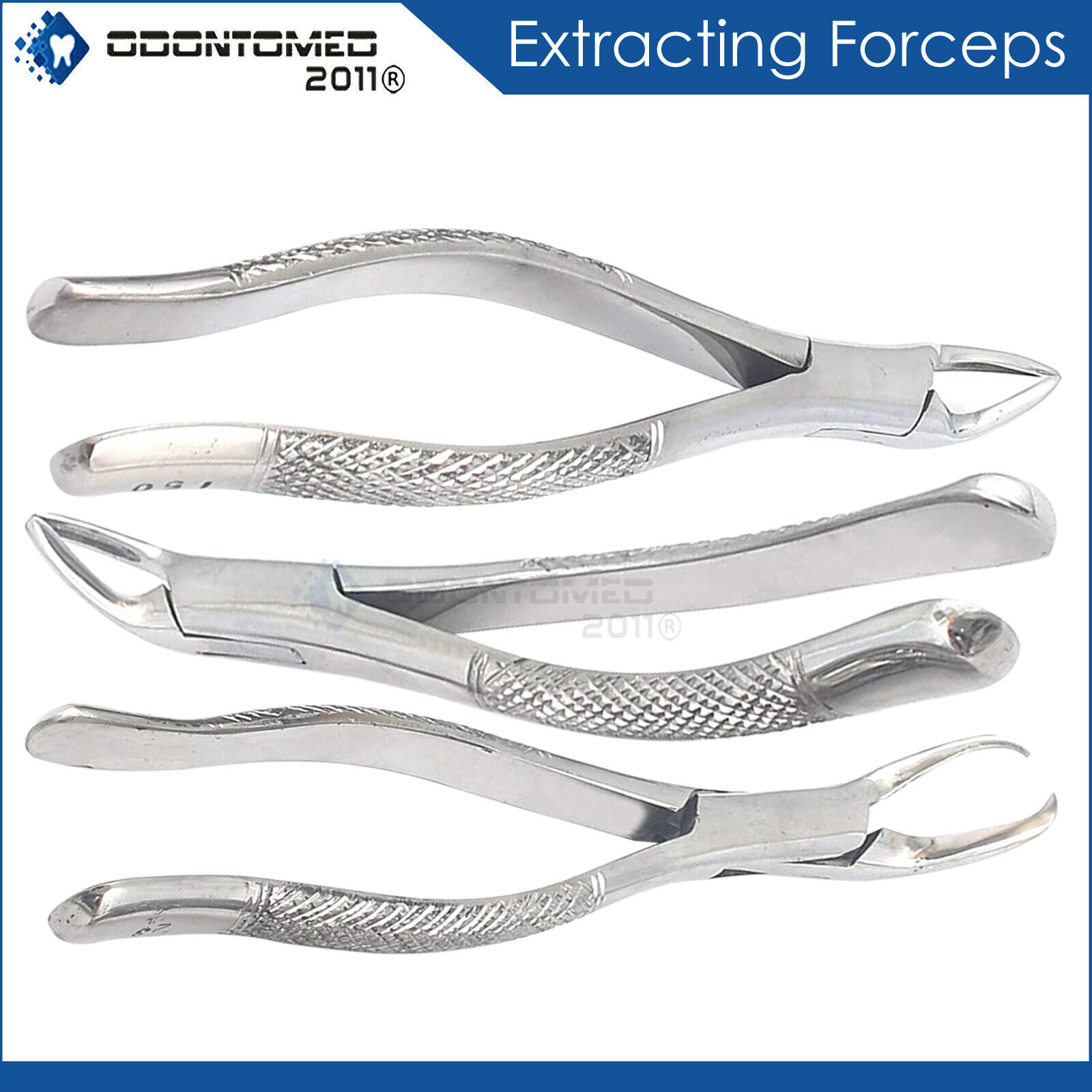 ODM-Dental-Extracting-Forceps-15015123-Surgical-Instruments-120939404331