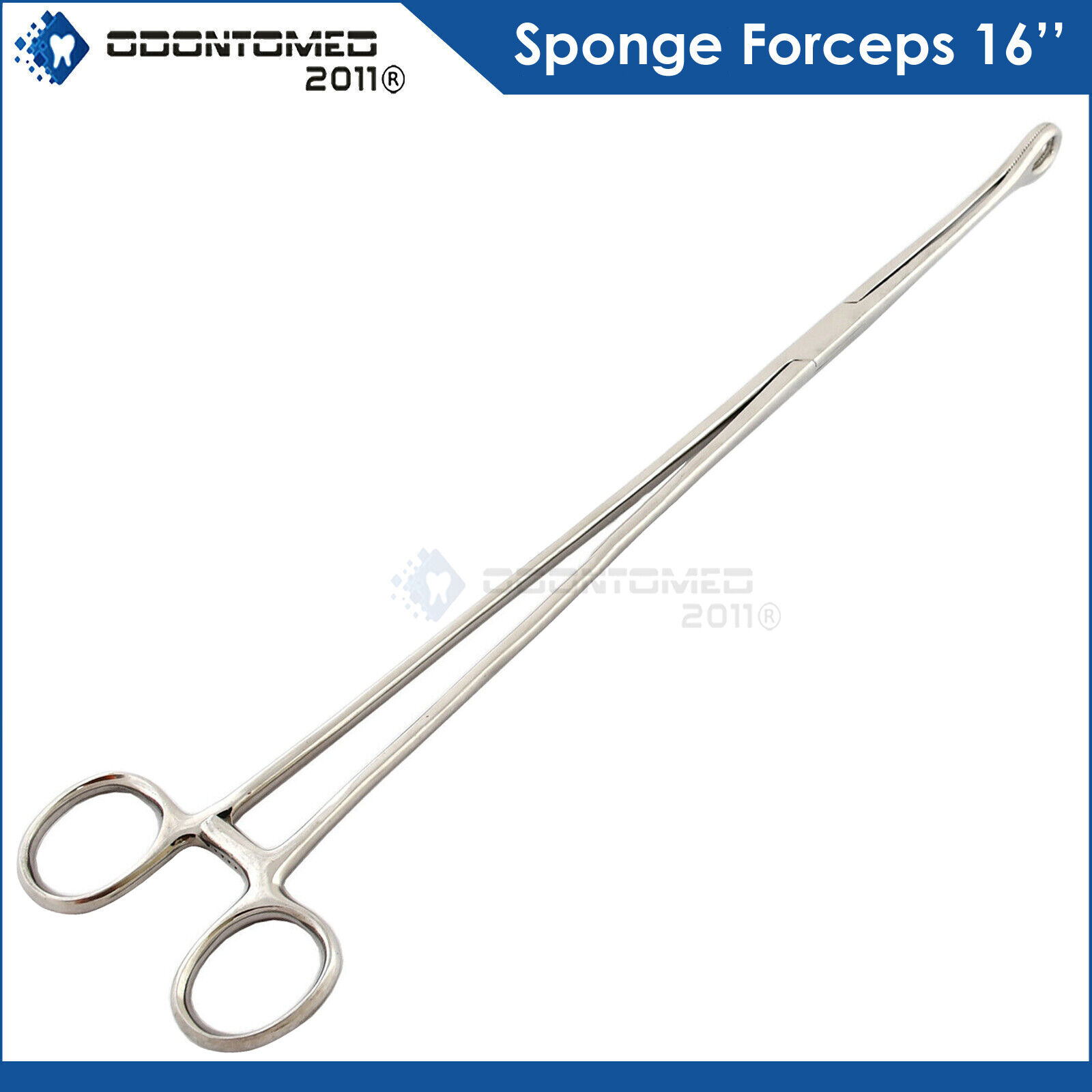 Sponge-Forceps-16-Straight-Gynecology-Surgical-Body-Piercing-Surgical-Tools-131307330461