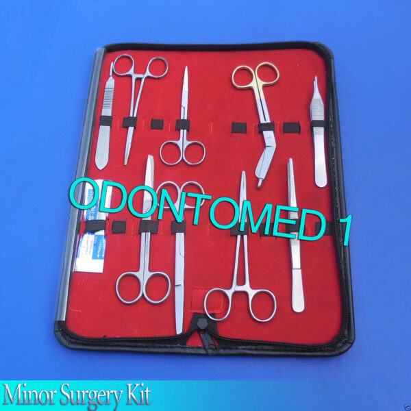 Surgical Instruments Used For Minor Surgery (Set of 10) DS-738