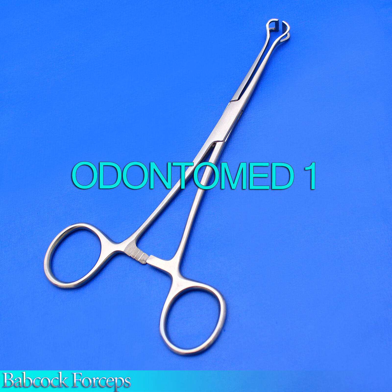12-Babcock-Forceps-6-Surgical-Instruments-134297302922