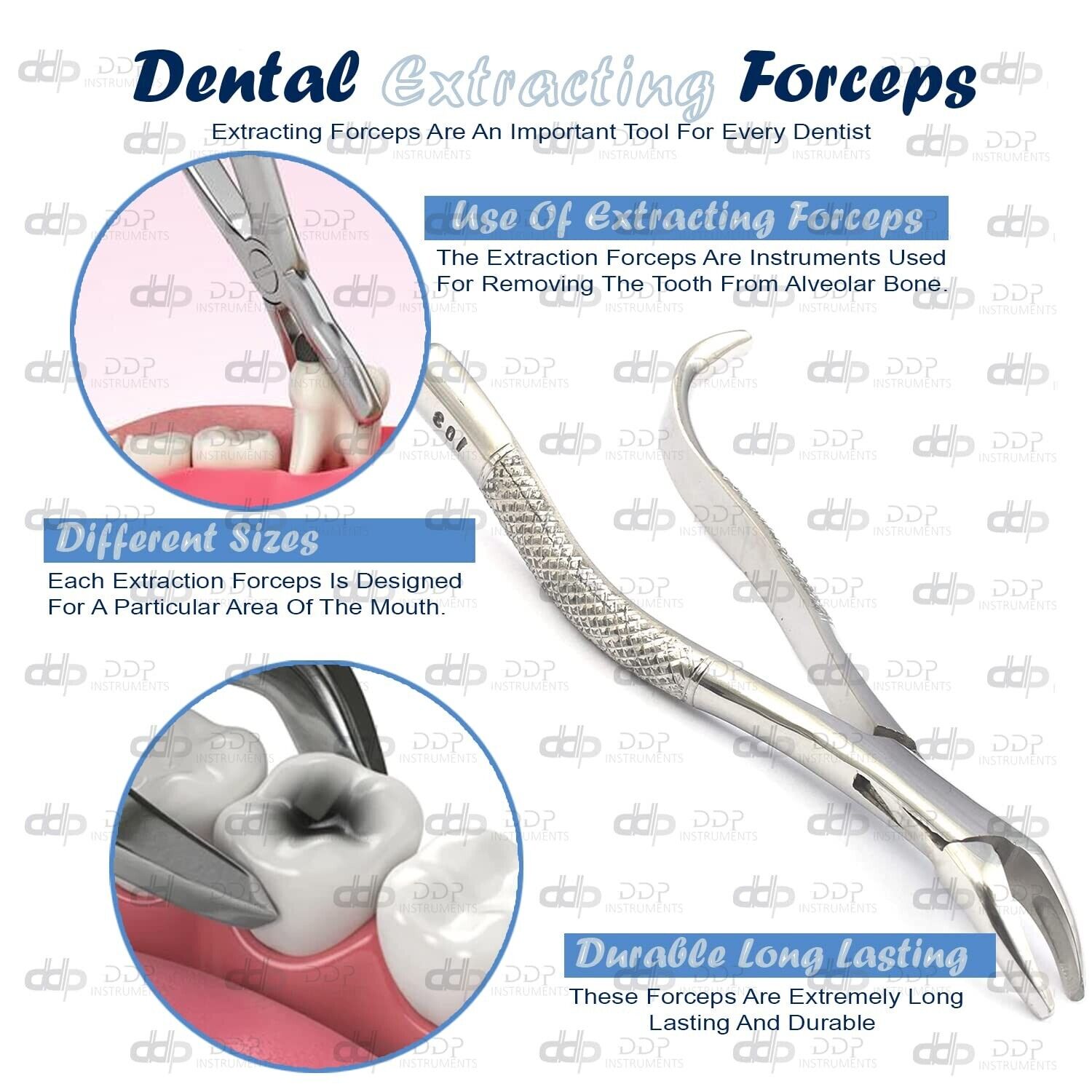 2-Pieces-EXTRACTING-FORCEPS-103-DENTAL-SURGICAL-INSTRUMENTS-111185839462-2