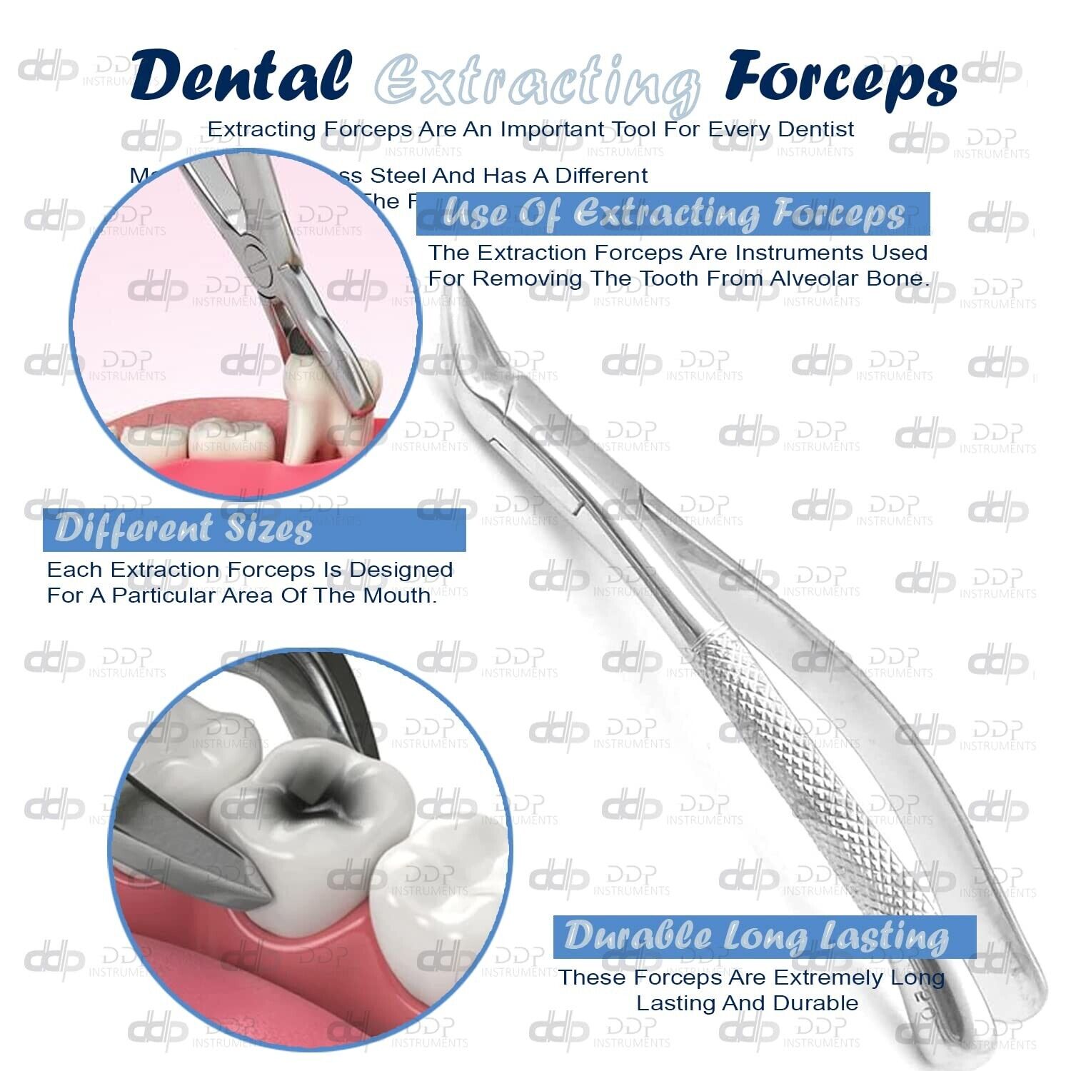 3-PIECES-EXTRACTING-FORCEPS-150-DENTAL-SURGICAL-INSTRUMENTS-111368569742-2