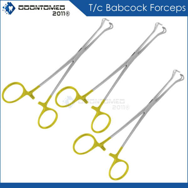 3 T/C Babcock Forceps 8" Surgical Instruments