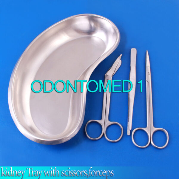 4 Pcs kidney Tray with scissors,forceps Ds-646
