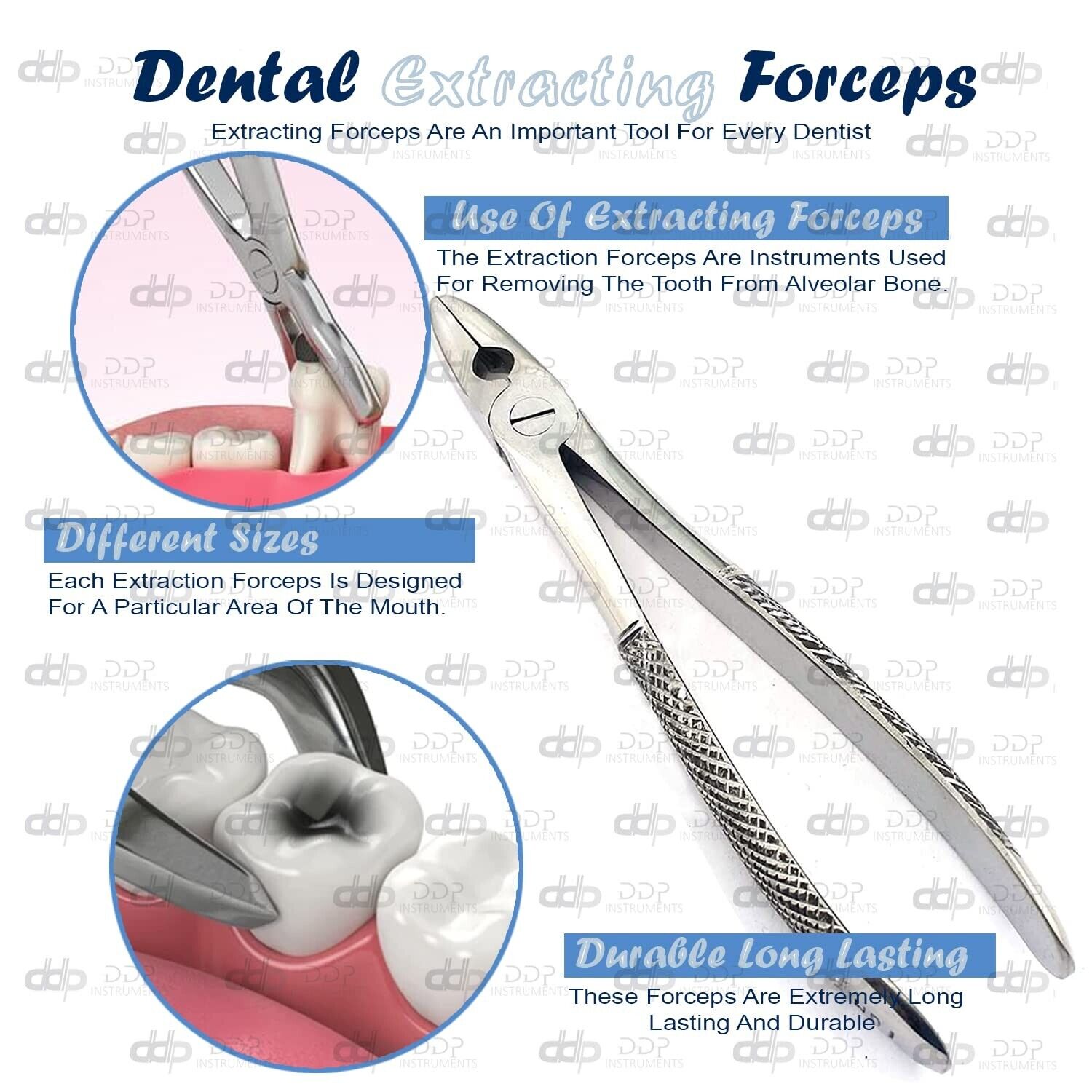 Dental-Instruments-Extracting-Forceps-English-Pattern-Fig-MD-1-Dentist-372107384562-3