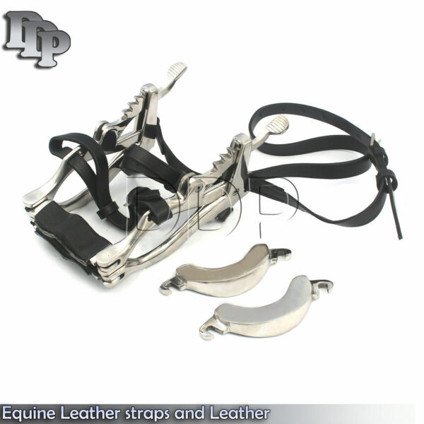 EQUINE Speculum, Hand Crafted, Stainless Steel, Dental,Equine STRAPS