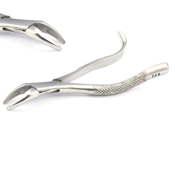 EXTRACTING FORCEPS # 103 DENTAL SURGICAL INSTRUMENTS