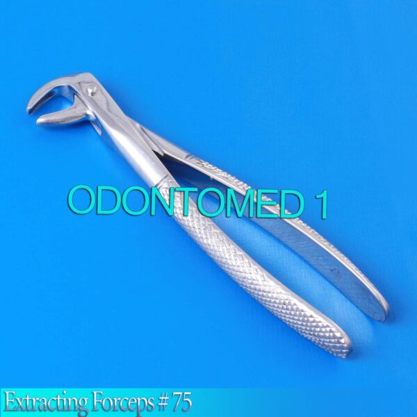 Extracting Forceps # 75 Surgical Dental Instruments