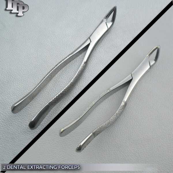 Set of Dental Extracting Forceps # 151 & 151S- Surgical Extraction Instruments