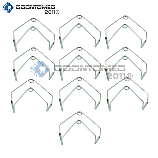 10 Pcs Smith Baxter Mouth Gag Small Veterinary Surgical Instruments