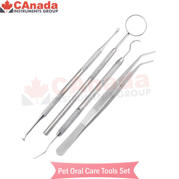 Dog Cat Teeth Gum Cleaning Plaque Tartar Remover Kit