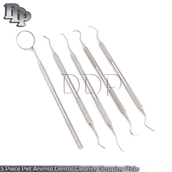 5 Piece Pet Animal Dental Cleaning Scraping Picks Probes Dog Canine,PR-0010