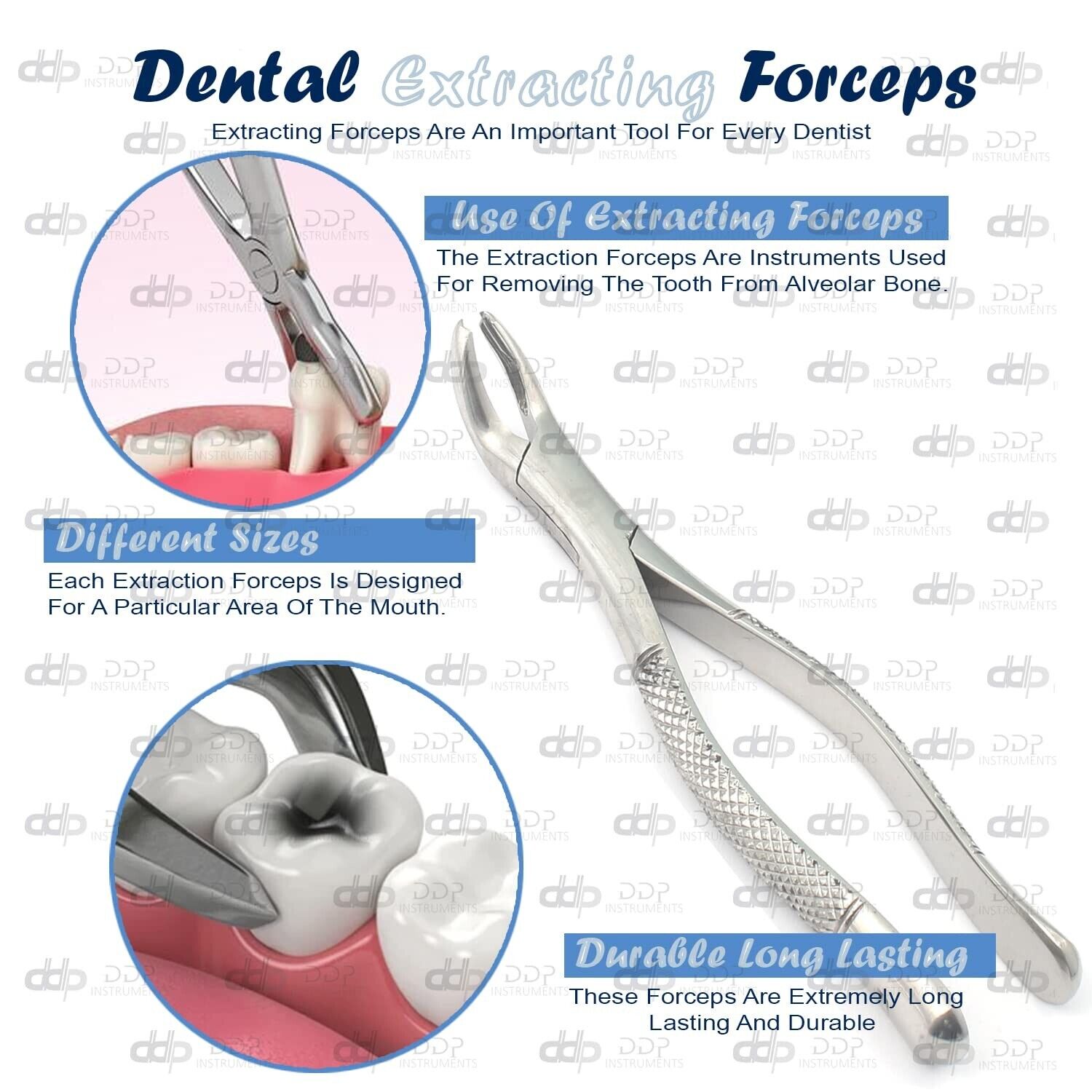 6-Pieces-EXTRACTING-FORCEPS-17-DENTAL-SURGICAL-INSTRUMENTS-121355200683
