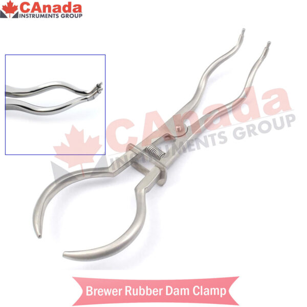 Brewer Rubber Dam Clamp Forceps Dental Instruments