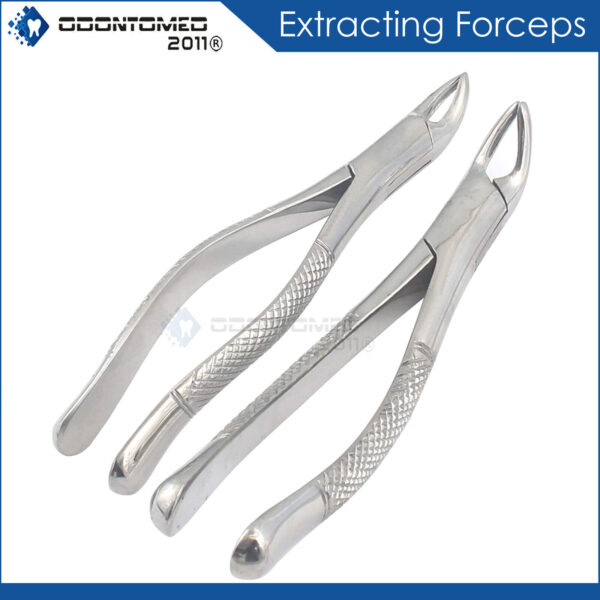 Dental Extracting Forceps 150s & 151s Surgical Tooth Extraction Tools Set of 2