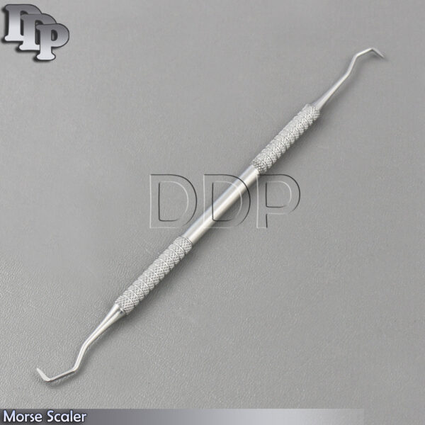 Dental Morse Scaler Periodontal Curettes Sickle Scaler Anterior Teeth Scaling
