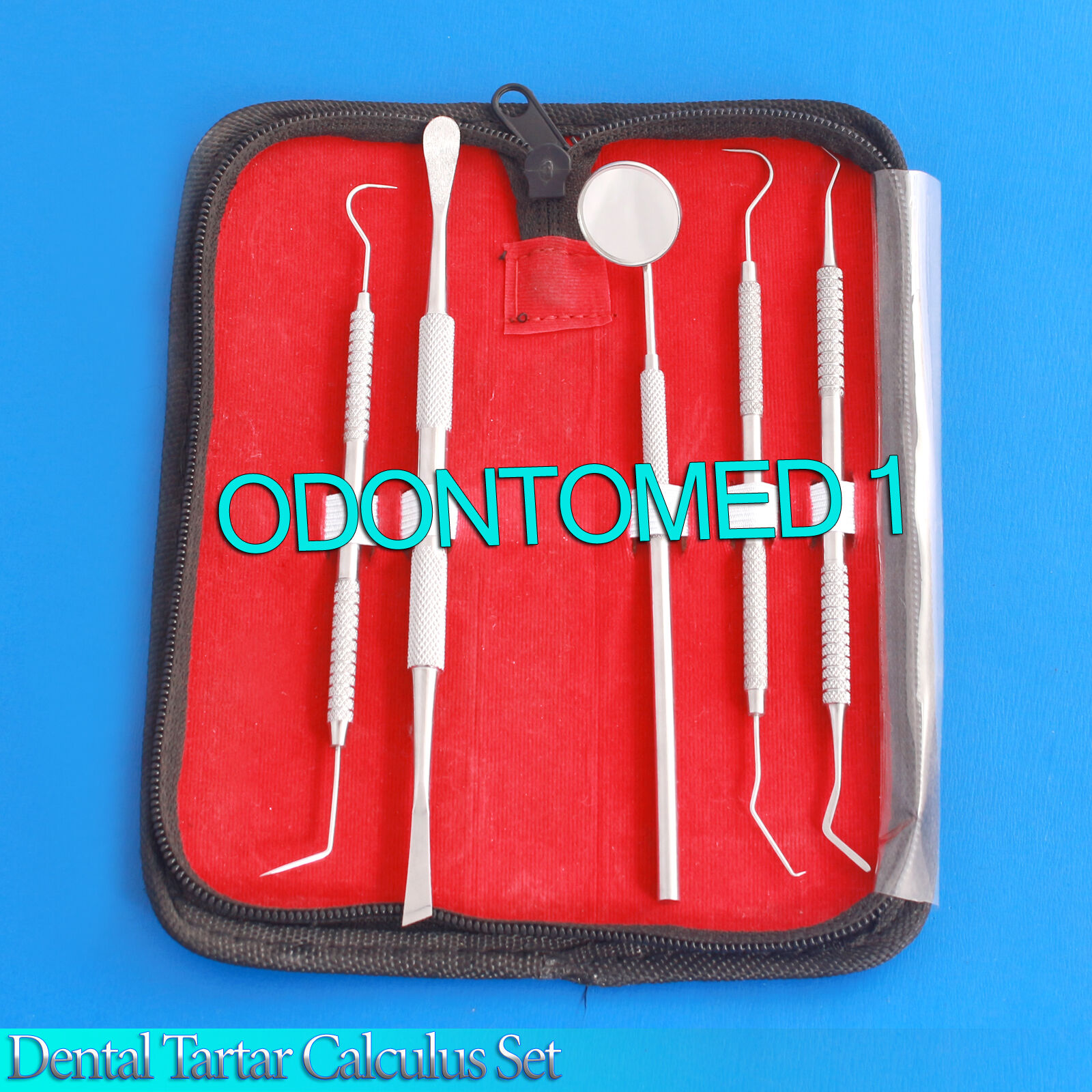 Dental-Tartar-Calculus-Remover-Scratch-Dentist-Scaler-Tooth-Scraper-Kit-PR-0099-131771511973