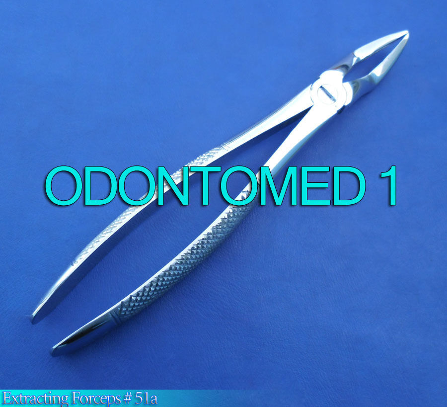 Extracting-Forcep-51A-Surgical-Dental-Instruments-110992210173