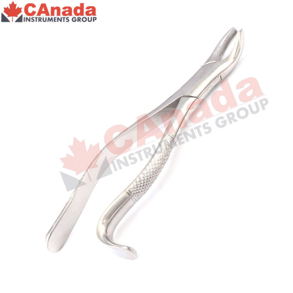 Extracting Forceps # 18R Serrated Dental Surgical Instrument Best Quality Instr