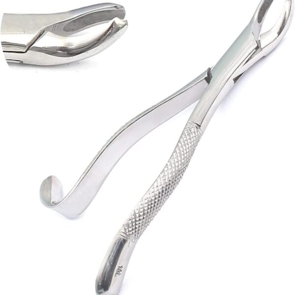 Extracting Forceps Adults #18L Comes with knurled Handle. (Standard Size)