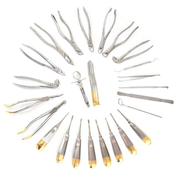 German 25 Pieces Oral Dental Surgery Extracting Elevators Forceps Instruments Kit Set