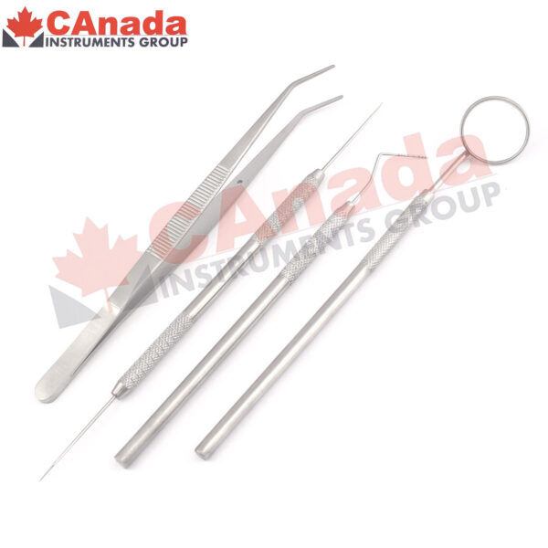 PROFESSIONAL BASIC DENTAL SET 4 PCS STAINLESS STEEL DENTAL INSTRUMENTS PR-002