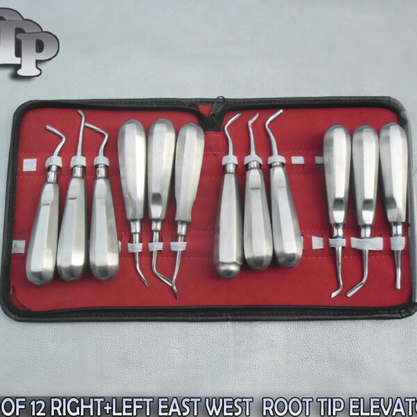 SET OF 12 MIX SURGICAL DENTAL ELEVATOR KIT STAINLESS STEEL ELEVATOR,DDP-0077